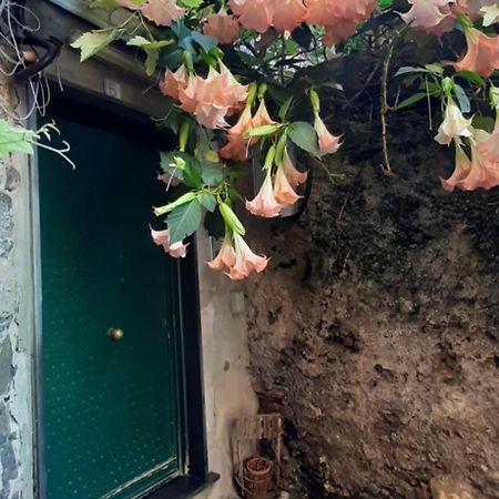Giuggiolhouse Lägenhet Genua Exteriör bild