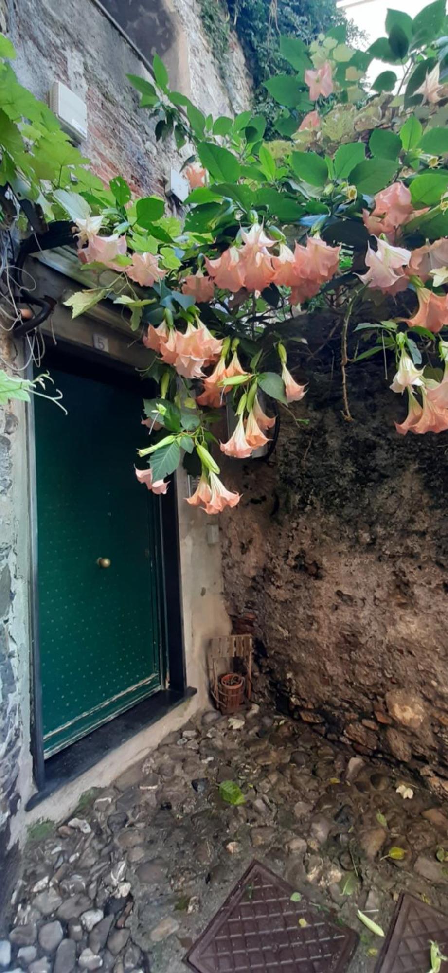Giuggiolhouse Lägenhet Genua Exteriör bild